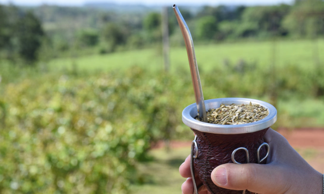 Yerba Mate